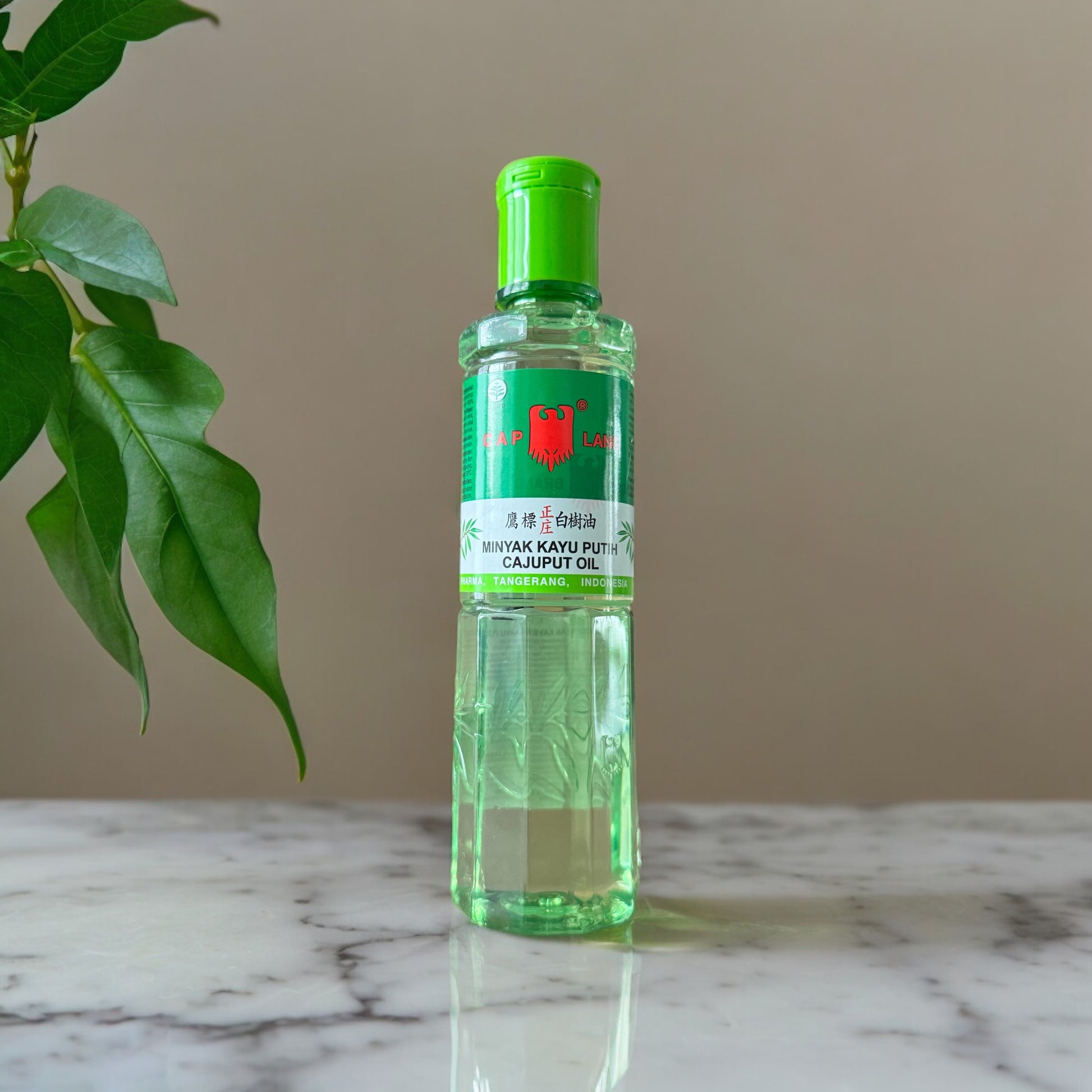 Nesia Food Cap Lang Minyak Kayu Putih Massageöl, transparent Flasche mit weißem Öl, ideal für Massage und Wohlbefinden